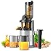 Produktbild AIRMSEN Slow Juicer, Entsafter Gemüse und Obst mit 82mm Großem Einfüllöffnung für ganze Früchte entsaften, Max 450W BPA freie Cold Press Juicer Machine mit 2 Behälter und Bürste - Silber