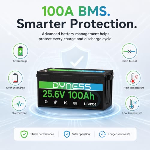 Image of Dyness 24V 100Ah LiFePO4 Lithium Battery, 2560Wh Large Capacity with Smart 100A BMS, 4000+ Deep Cycle, 10-Year Lifetime, Supports 4P2S Connection Up to 20.48kWh, Perfect for RV, Solar System, Marine
