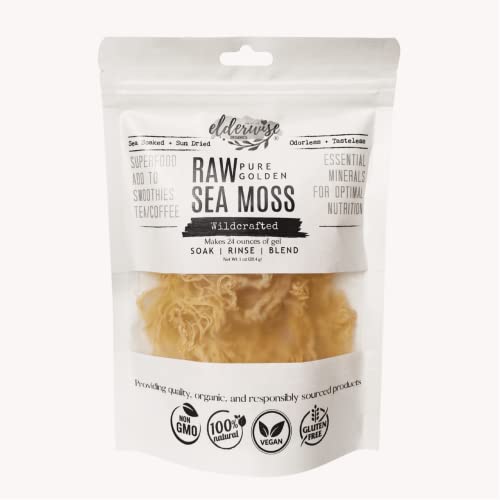 Sea Moss Water How To Make and Drink Sea Moss Juice