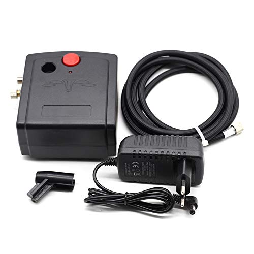 Mini spazzola ad aria Airbrush Compressor Dual Azione Spruzzo aerografo Penna aerografo Set con compressore per tatuaggi per torta per unghie per unghie Art Trucco