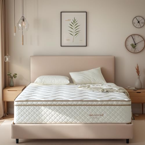 WUYOTRE Queen 10" Memory Foam Hybrid Mattress in a Box