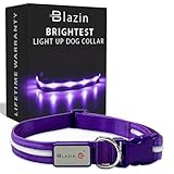 Blazin Light Up Dog Collar - The Original LED Dog Collar - USB Rechargeable - Waterproof - 1,000 Feet of Visibility - Dog Collar Light for Small, Medium, Large Dogs - USA Brand