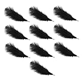 CORHAD 10個 鸵鸟毛ブラック 天然オーストリッチ羽根 クラフト用飾り 結婚式 パーティー 学校や家の装飾に