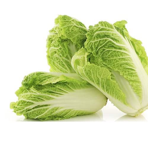 Alpine Imported Chinese Cabbage (50 seeds/packet) (B09FLWK5P1) Amazon Price History, Amazon Price Tracker