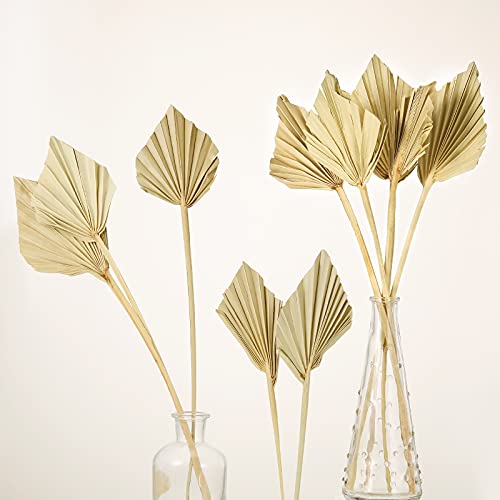 Boho Dried Palm Spears Small Natural Dried Palm Fans Dried Palm Leaves Dried Palm Leaf Palm Fan Leaf with Stem Dried Leaf Decor for Vase Wedding Party Office Home Wall Decor (Natural Color,10 Pieces)