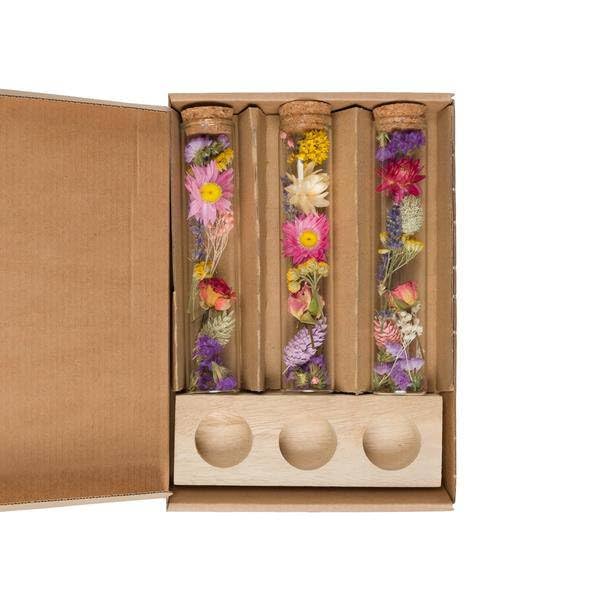 Getrocknete Blumen Message in a Box Groß Multi 8 Stück