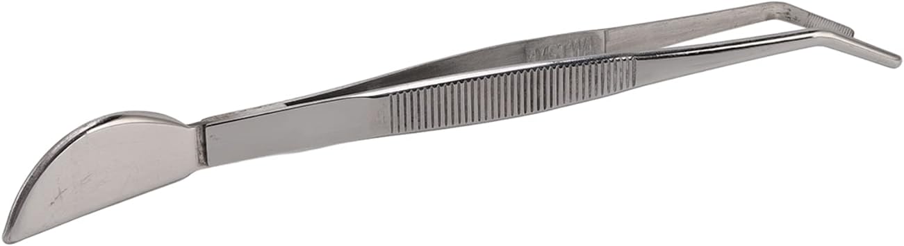 أدوات بونساي Tweezers ، دليل الصدأ بونساي Tweezers لتخفيف التربة بنت