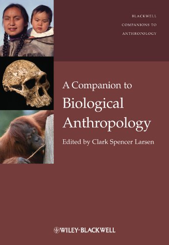 Larsen, C: Companion to Biological Anthropology (Wiley Blackwell Companions to Anthropology)
