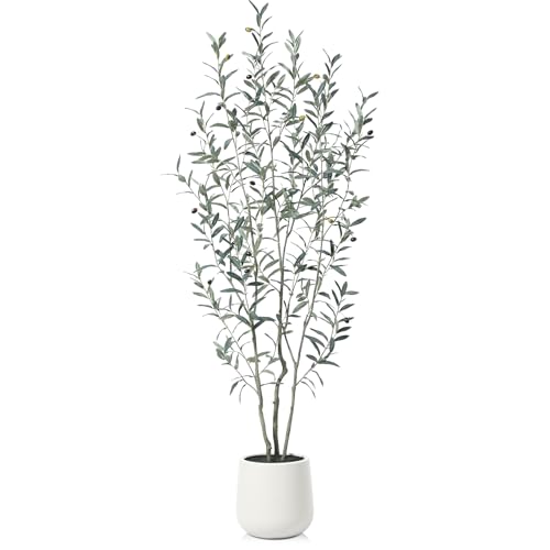 Fopamtri Artificial Olive Tree 180 cm Fake Plants with Lifelike Olive Leaves, Tall Faux Silk Olive Plant in White Planter Indoor Home Balcony Garden Decor (1 Pack) Fopamtri Artificial Olive Tree 180 cm Fake Plants with Lifelike Olive Leaves, Tall Faux Silk Olive Plant in White Planter Indoor Home Balcony Garden Decor (1 Pack)