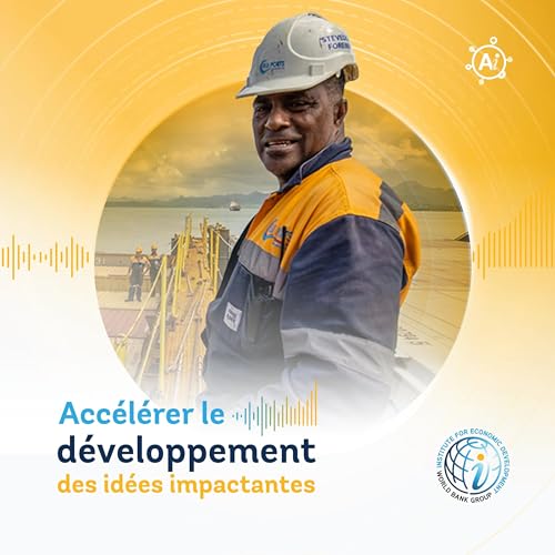 &Eacute;pisode 20 La Puissance des Normes : Pourquoi une Bo&icirc;te en M&eacute;tal, une Liste de Contr&ocirc;le et une Prise M&acirc;le Peuvent Changer une &Eacute;conomie