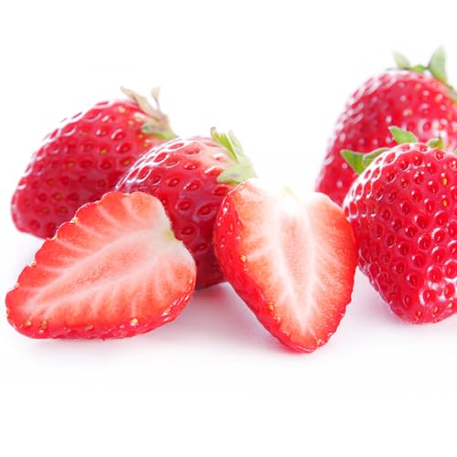 ͂܂I Y  LTCY i24j w_sgp c_[ Ղ̖_򂢂 ܕsgp m[bNX h܁EhJrܕsgp ݂͂Ȃ鎩R̊ÂɂȂ{Oȍ _CɂSăoNoNHׂ