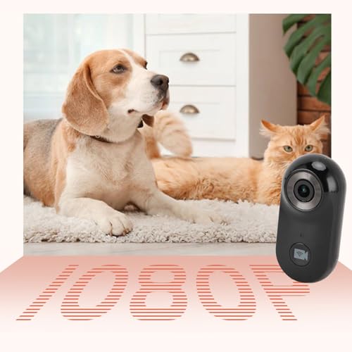 Câmera com coleira de gato, 1080p HD 2,4 G, coleira POV, câmera corporal vestível para animais de es