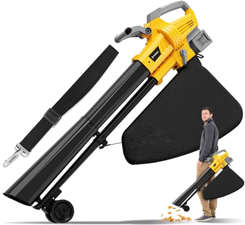 Cordless Dewalt 20V Vacuum