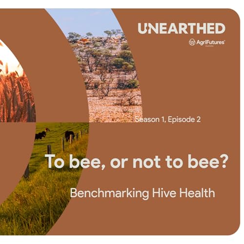 To bee, or not to bee? cover art
