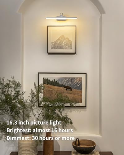 Image of KDG LED Cordless Wall Picture Light with Remote, 5200mAh Rechargeable Dimmable Art Lighting, Adjustable Swing Arm, Picture Frame Light for Gallery, Living Room, Hallway, 16.3 inch, Silver