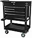 JEGS 81411 5-Drawer Tool Box Cart