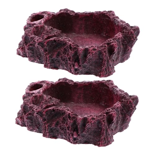 BCOATH 2Pcs Decorative Reptile Feeding Dish Natural Design Water Food Bowl for Turtles Lizards and Geckos for Daily Use and Healthy Habitat