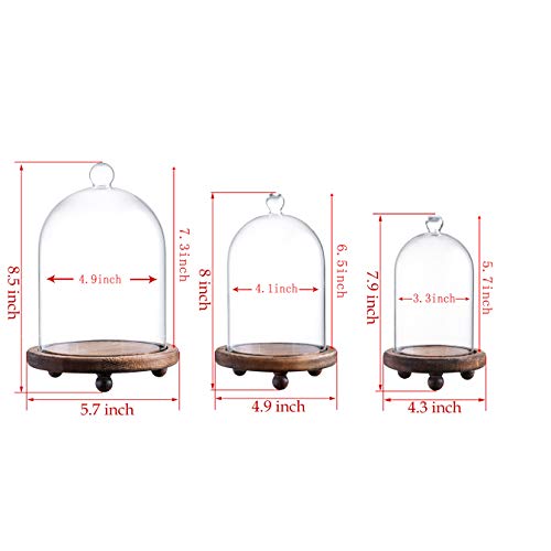 Kmwares 3Pcs Glass Bell Shape Dome(5.7"/4.9"/4.3") | Cloche Display Various Decor And Accessories With Wood Base #TOP1