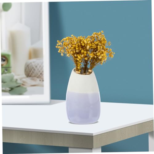 5 Piezas Ramo Seco de Gypsophila Natural Amarillo miniatura 4