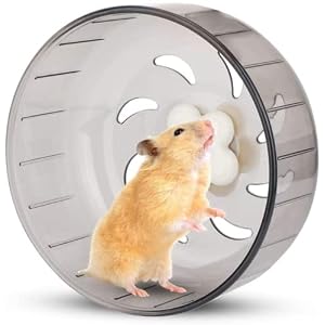Mini Silent Exercise Wheels for Hamsters Less Than 4 inches 10 cm in Length Toys Hamster Ball Small Pet Running Toy Ball Gerbils Mice Rat Guinea Pig Hamster Cage Accessories