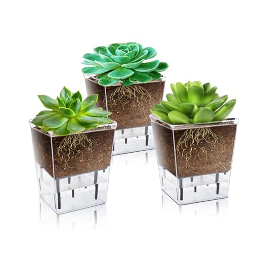 IWNTWY Self Watering Pots Set, 3 Pack 2.7 Inch Pots for Indoor Plants, Clear Nursery Planter with Deep Reservoir for Succulents, Seedlings, Small Plants