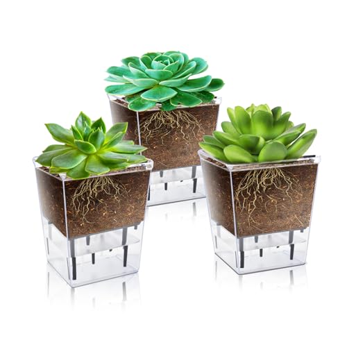 IWNTWY Self Watering Pots Set, 3 Pack 2.7 Inch Pots for Indoor Plants, Clear Nursery Planter with...
