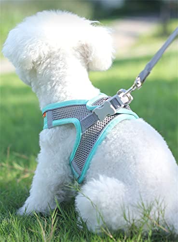 Arnés para Perros Juego de Correa Ajustable Cachorro Gato Arnés Chaleco Perro al Aire Libre Caminar Correa Perro pequeño