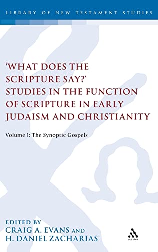 What Does the Scripture Say?' Studies in the Function of Scripture in Early Judaism and Christianity: Volume 1: The Synoptic Gospels (The Library of New Testament Studies)