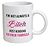 Funny I'm Not Always A Bitch 11OZ Coffee Mug Novelty, Office, Job