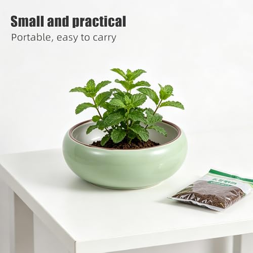 Pot de fleur hydroponique VICASKY en céramique ronde finition mate chic