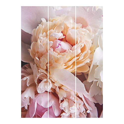 Bilderwelten Cortinas deslizables - Peony - 3 Paneles japoneses Sin Montaje 250x180cm