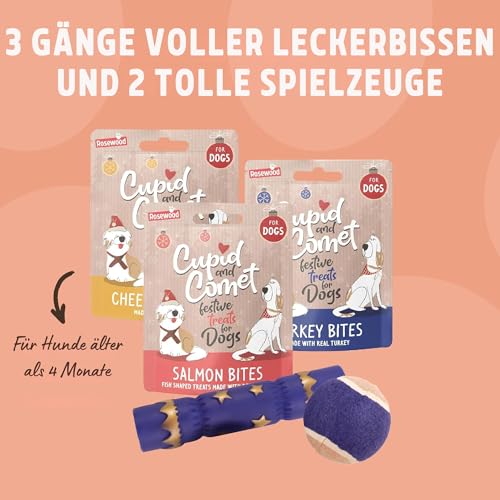 Rosewood Cupid & Comet Weihnachts-Strumpf für Hunde – Festliche Leckerlis & 2 Spielzeuge – Weihnachtliches Geschenkset für glückliche Vierbeiner