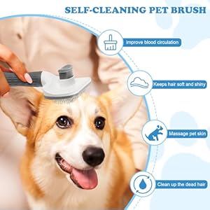 Pet-brushcat-brush-with-release-buttondog-brush-for-grooming-Remove-loose-hair-and-prevent-tanglingfine-needleGrey - Cucciolini Doodles Pet-brushcat-brush-with-release-buttondog-brush-for-grooming-Remove-loose-hair-and-prevent-tanglingfine-needleGrey