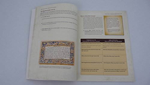 Mary: A Biblical Walk with the Blessed Mother 1935940759 Book Cover