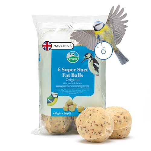 RSPB - Fat Balls Bird Food for Outside Birds High Energy Suet Balls Made in the UK Delicious and Nutritious Suitable for Year-Round Feeding (6 Pack)