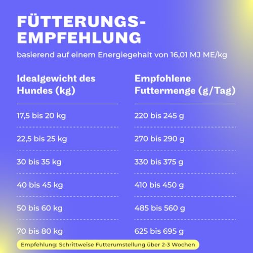 HEY HOLY Premium Trockenfutter für Molosser 100% getreidefrei | 14kg hypoallergenes Hundefutter für ausgewachsene Molosser mit Rind | Hochverträglich aus natürlichen Zutaten
