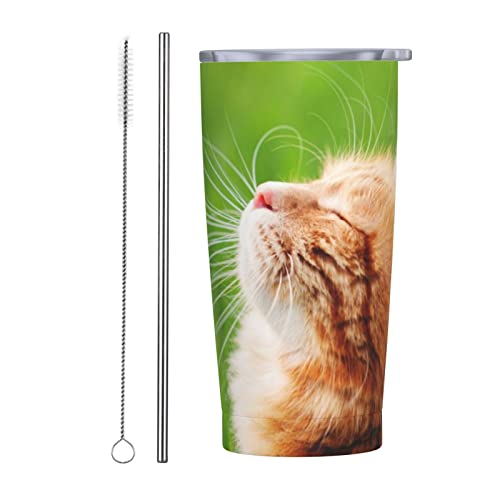 L Ő  ʐ^ Xg[&Xg[uVt }OJbv R[q[Jbv 600ML RrjJbv ^u[ XeX ۗ ۉ ԗp Wt ^  e  Aj v[g ju57