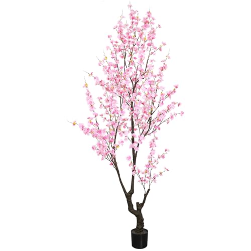 DRACIT 8ft Pink