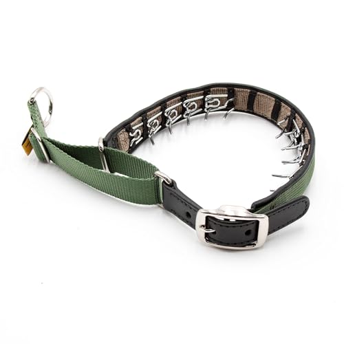 Keeper Collar Hidden Prong with Leather Strap (16, Green)