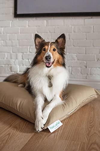 Naturopet Natural Dog And Cat Bed, 100% Natural Virgin Wool & Organic Cotton Covers, Indoor Pet Beds Made In Usa, Premium Support, Dual Zippered Removable And Machine Washable Covers (Large, Sand) #TOP1