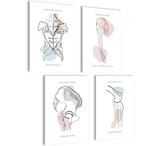 Mojoliving Anatomie Skelett Poster Set - Bilder für Schlafzimmer, Aesthetic Room Decor, Vintage Deko, Fitness Wandkunst