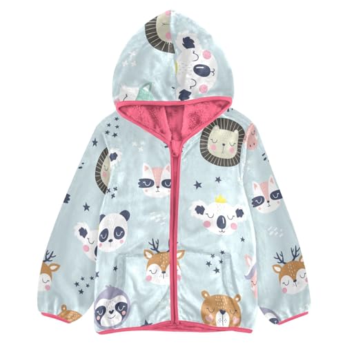 OTVEE Cartoon Animals Bear Koala Kids Hoodie Jacket Fall Spring Full Zip Warm Outwear Coat