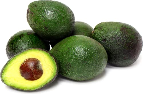 9EzTropical - Gwen Avocado Grafted Tree - 1 Feet Tall - Ship in Plastic Bag Active