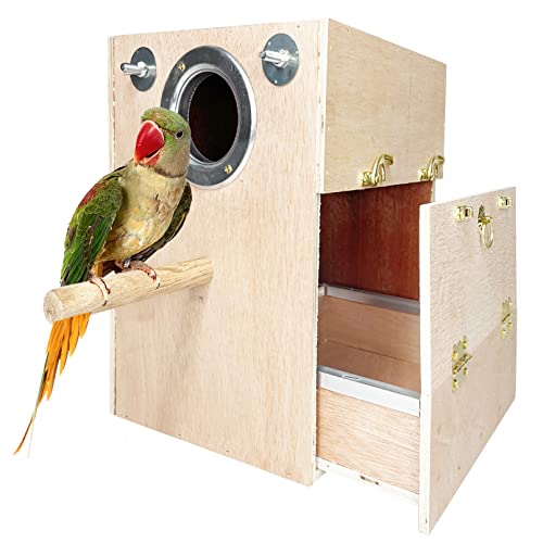 10 Best Cockatiel Nest Boxes for Happy and Healthy Birds A