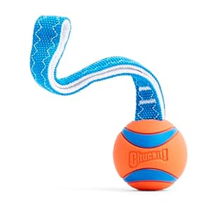 Chuckit! Ultra Tug Dog Toy, Medium Fetch and Dog Ball Tug Toy for Dogs 20-60 Pounds