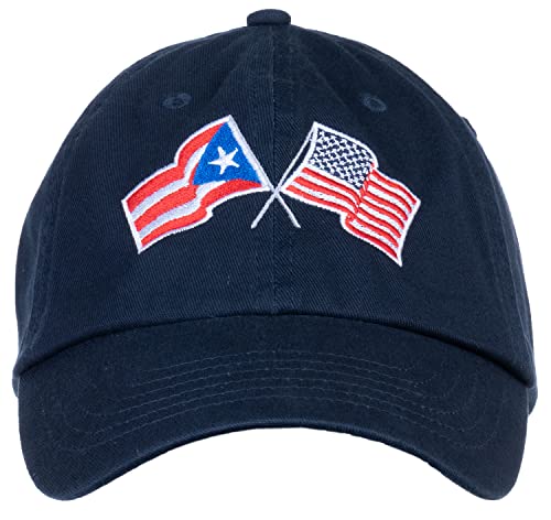 Image of Ann Arbor T-shirt Co. American Friendship Nations Flag Baseball Low Profile Dad Hat for Men Women