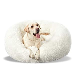 Washable Dog Round Bed Medium, Donut Dog Bed Medium Dog, Comfy Dog Calming Cuddler Bed
