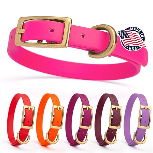 Viper Passionfruit Pink Dog Collar