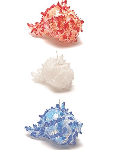 A.L.E. IMPORT 3 Candele A Forma di Conchiglia Marina Vari Colori (Assortiti)
