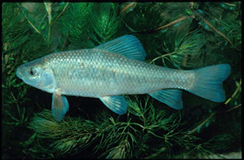 Wild Ohio: The Best of Our Natural Heritage